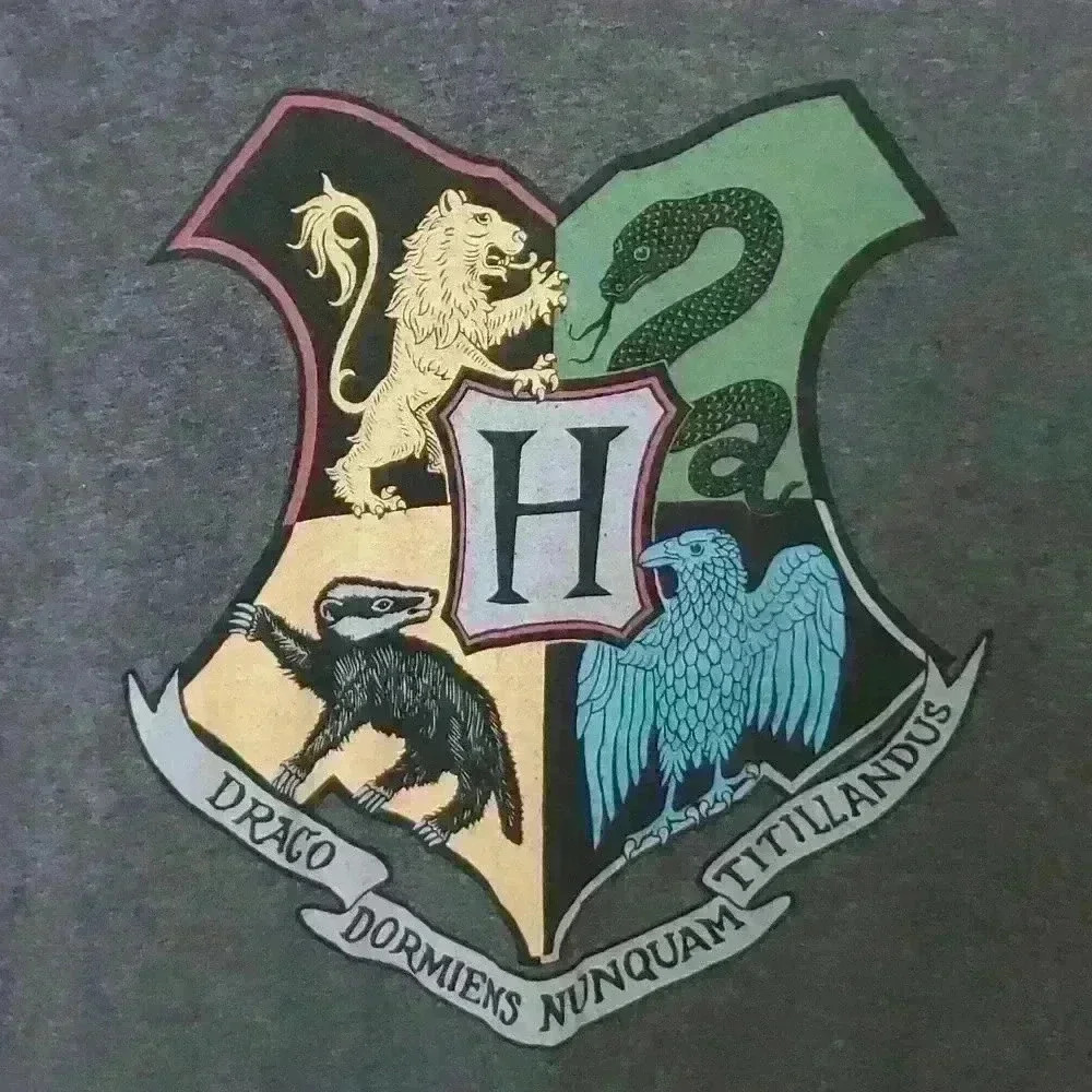 Harry Potter Loot Crate Hogwarts Tee Size Medium - Picture 2 of 4